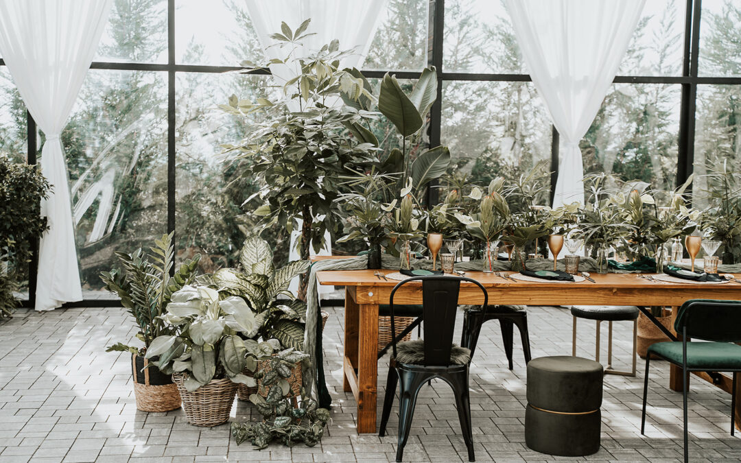 URBAN JUNGLE